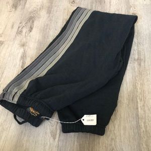 Aviator Nation - Large Grey sold out sweatpants